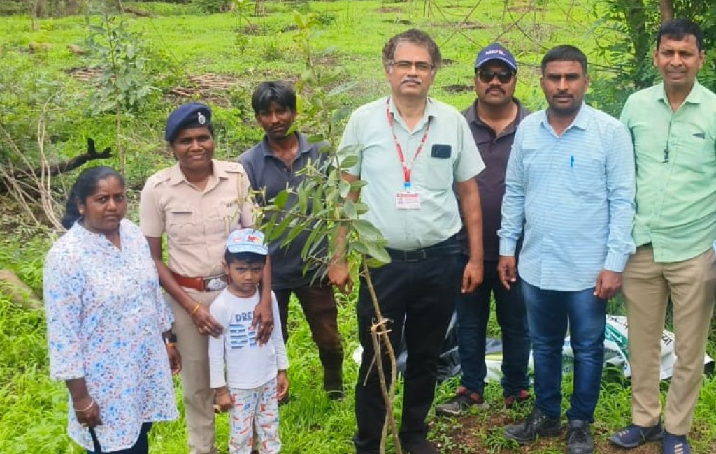 Plantation of 800 trees on Taljai; Planning for one thousand six hundred tree plantation  Trees will be maintained for three years
